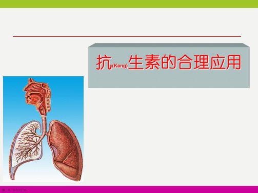 抗生素的合理应用培训实用PPT