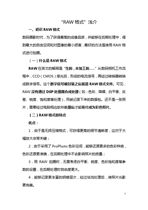 RAW格式浅介