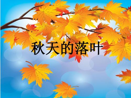 优选教育三年级下册美术课件-第课秋天的落叶｜岭南版.ppt