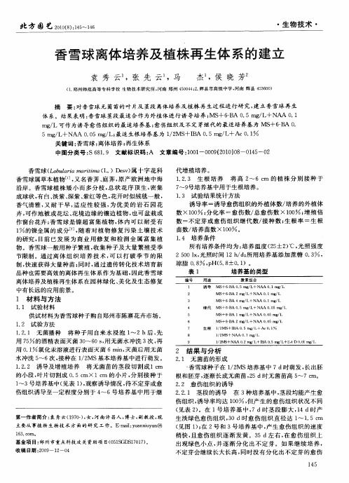 香雪球离体培养及植株再生体系的建立