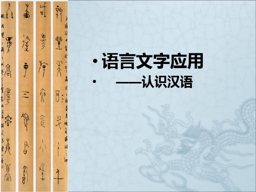 美丽而奇妙的语言——认识汉语ppt16