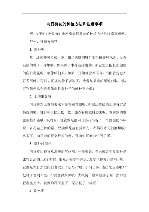 向日葵花的种植方法和注意事项