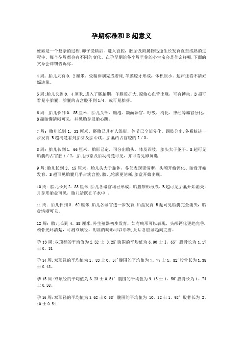 B超胎儿大小对照表
