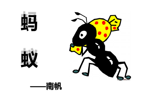《蚂蚁》(北师大·八年级·上册语文)