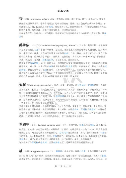 西山公园