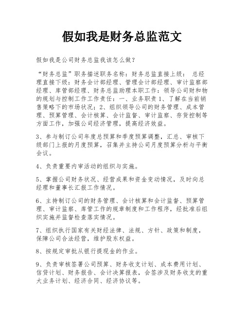 假如我是财务总监范文