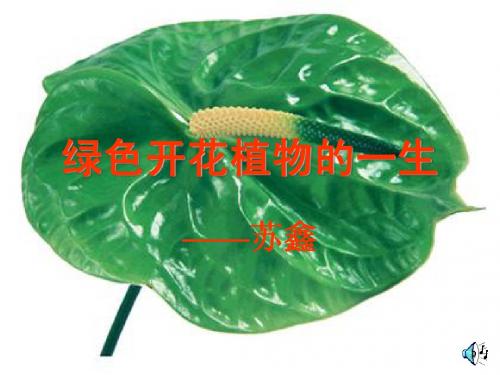 绿色开花植物的一生