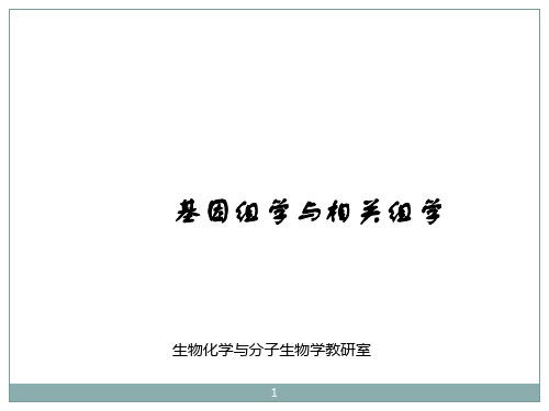 基因组学与相关组学ppt课件