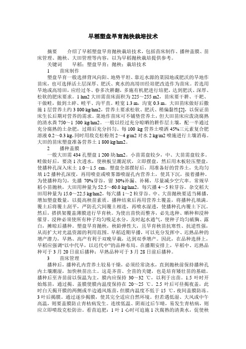 早稻塑盘旱育抛秧栽培技术