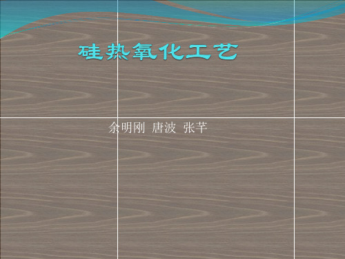 硅热氧化工艺