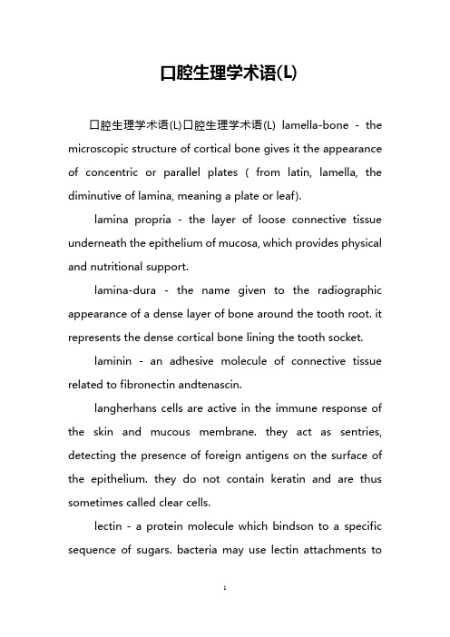 口腔生理学术语(L)