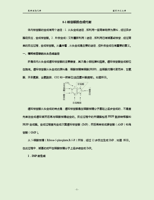8-1核苷酸的合成代谢