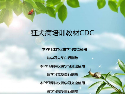 狂犬病培训教材CDC