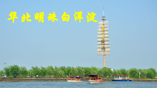 冀教版二年级语文下册《一单元  4华北明珠白洋淀》课件_7
