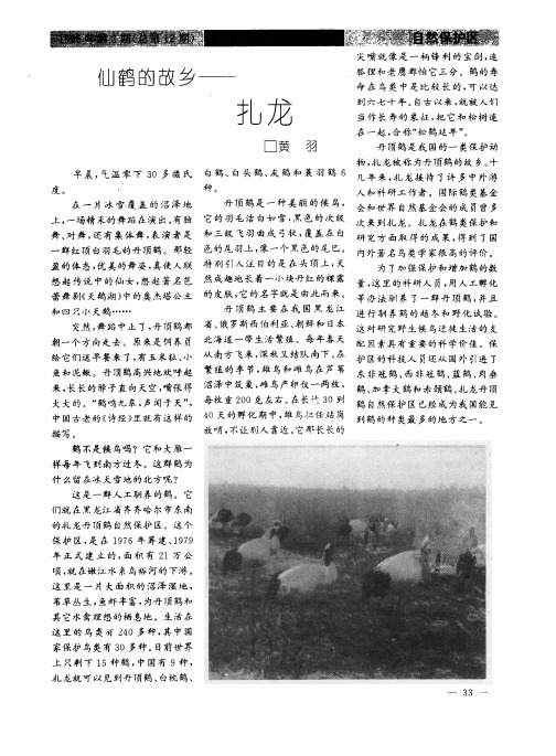 仙鹤的故乡——扎龙