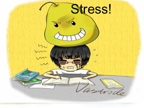Stress压力PPT