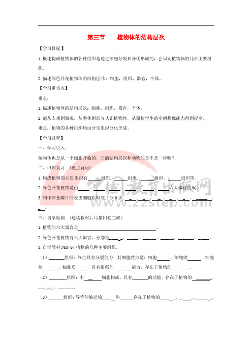 七年级生物上册 2.2.3《植物体的结构层次》导学案1(无答案)(新版)新人教版