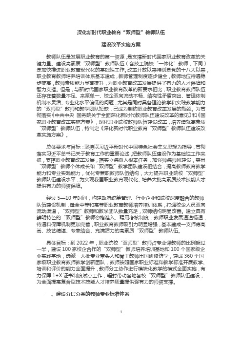 双师型教师队伍改革方案