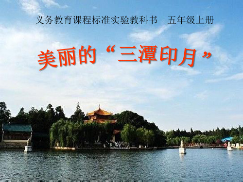 《美丽的“三潭印月”》课件3