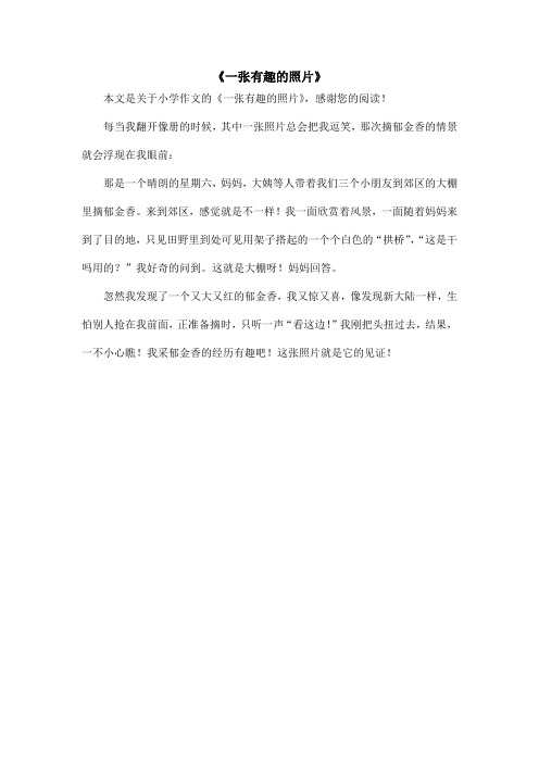 《一张有趣的照片》_小学作文