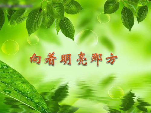向着明亮那方 课件