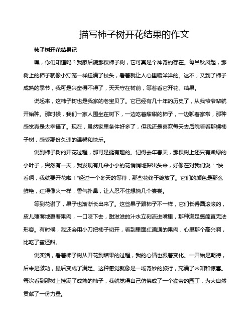 描写柿子树开花结果的作文