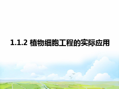 高中生物选修3优质课件8：2.1.2 植物细胞工程的实际应用