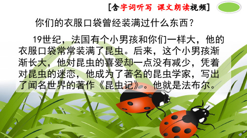 部编北师大版三年级语文下册《装满昆虫的口袋》优秀课件(2课时含视频)