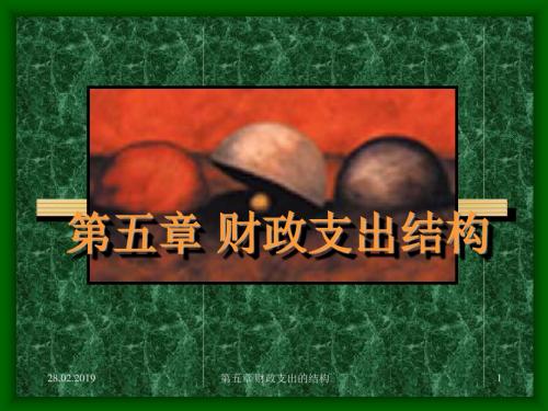 第05章财政支出结构