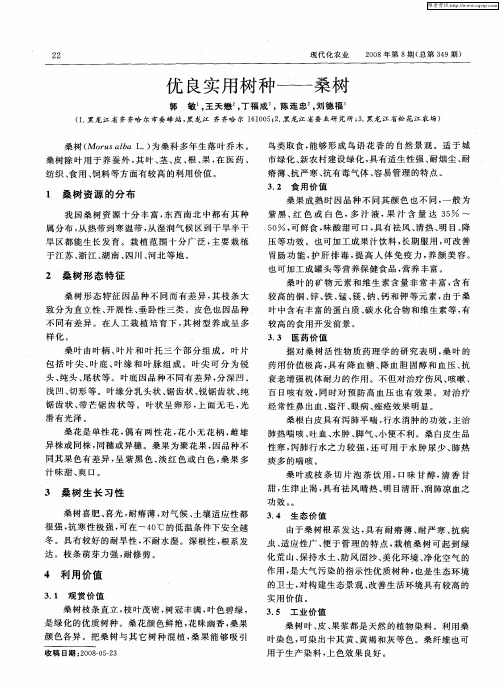 优良实用树种——桑树