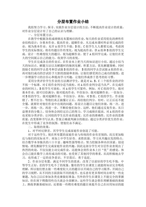 分层布置作业小结(王晓丽)