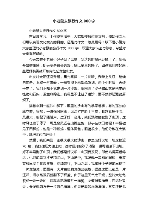 小老鼠去旅行作文800字