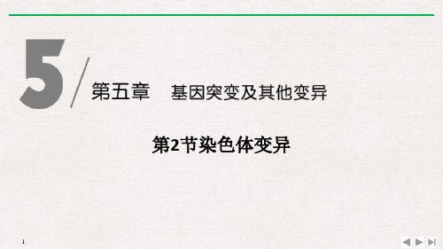 《染色体变异》基因突变及其他变异-人教版高中生物必修二PPT课件