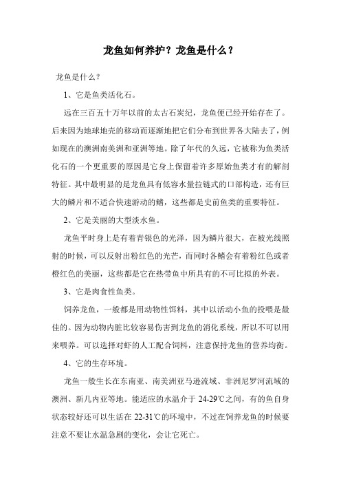 龙鱼如何养护？龙鱼是什么？