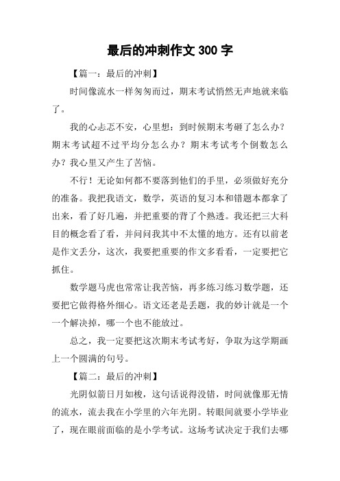 最后的冲刺作文300字