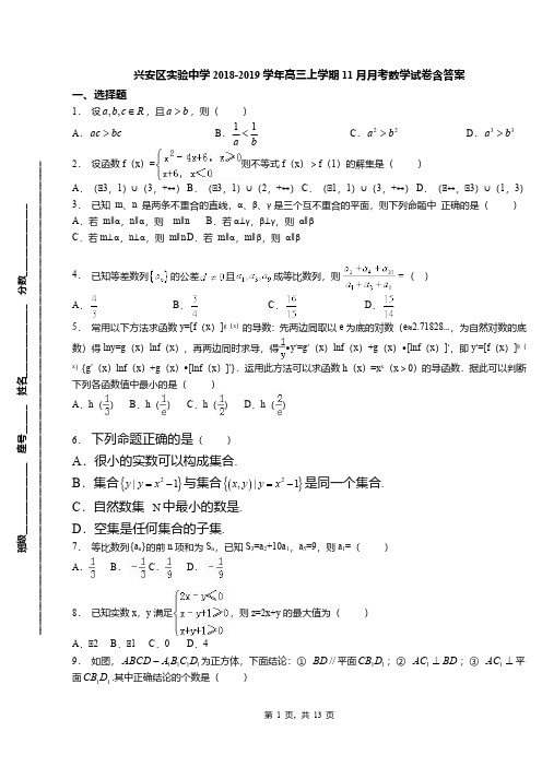 兴安区实验中学2018-2019学年高三上学期11月月考数学试卷含答案
