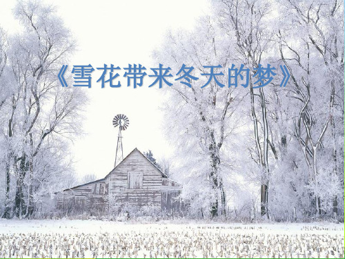 人音版五年级音乐《雪花带来冬天的梦》课件.ppt