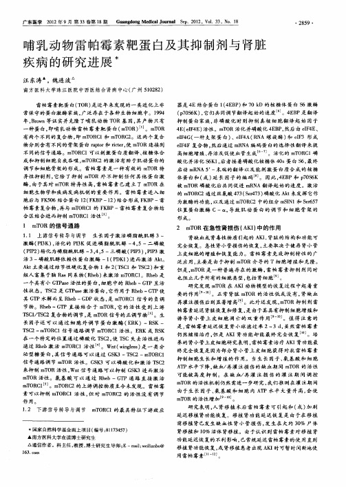 哺乳动物雷帕霉素靶蛋白及其抑制剂与肾脏疾病的研究进展