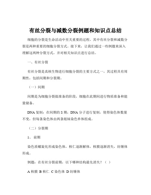 有丝分裂与减数分裂例题和知识点总结