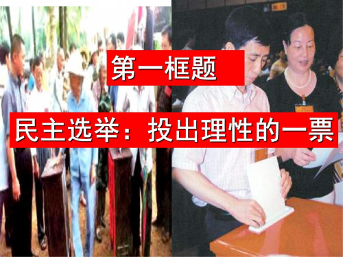 高一政治民主选举：投出理性一票
