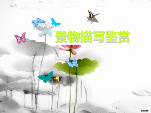 视觉听觉触觉PPT课件