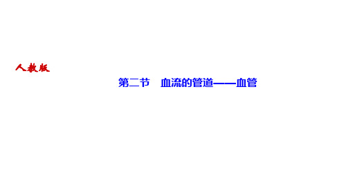 人教版七年级生物下册作业课件 第四章 人体内物质的运输 第二节 血流的管道——血管 (2)