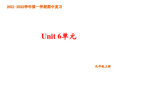 期中考试复习 Unit6单元课件人教版九年级英语上册