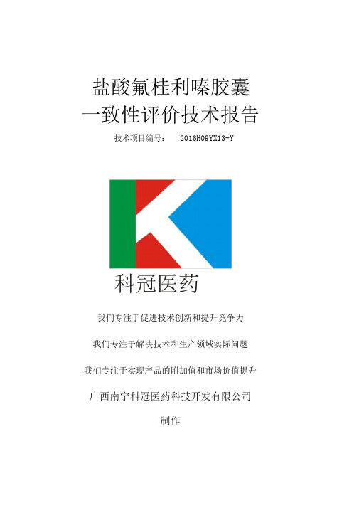 盐酸氟桂利嗪胶囊一致性技术报告材料20170526
