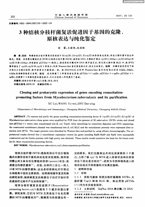 3种结核分枝杆菌复活促进因子基因的克隆、原核表达与纯化鉴定