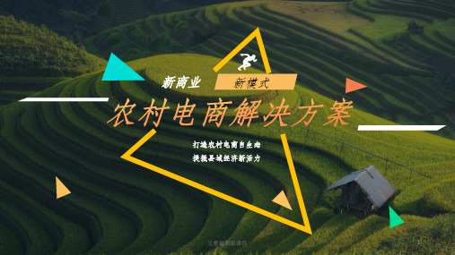 新商业新模式农村电商解决方案ppt课件