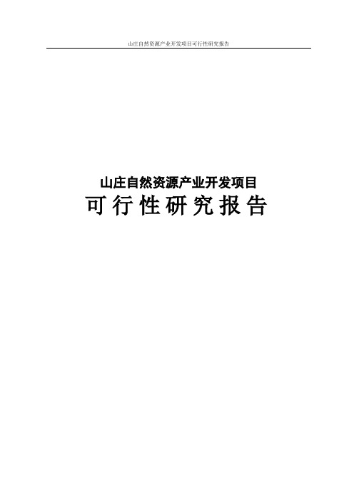 山庄自然资源产业开发项目可行性研究报告