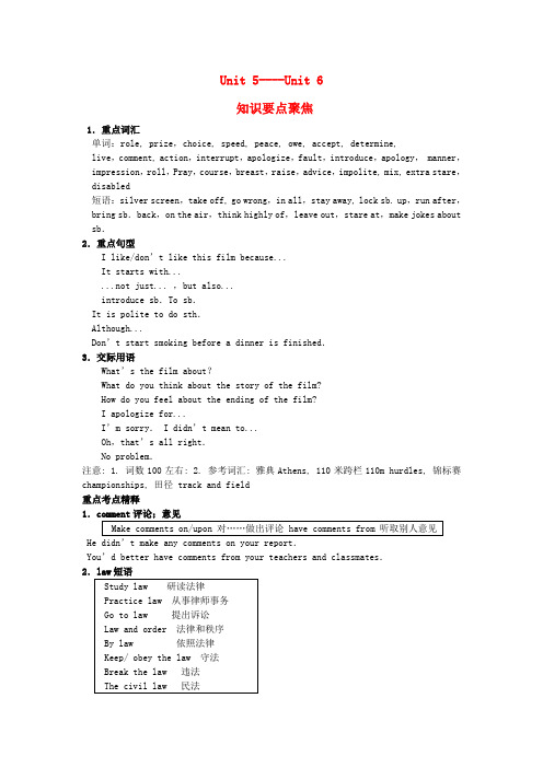 高考英语一轮复习 Unit5—Unit6知识要点聚焦1
