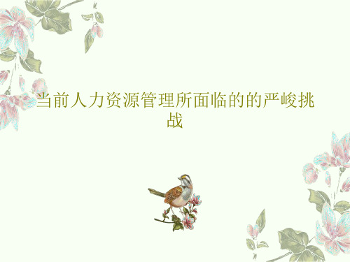 当前人力资源管理所面临的的严峻挑战29页PPT