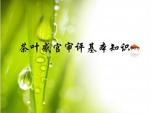 6、茶艺师培训之—茶叶感官审评